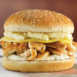 205 - X FRANGO EGG ESPECIAL